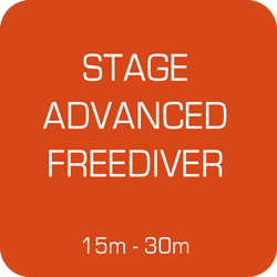 Stage Apnée Advanced Freediver les 18 et 19 mai 2024